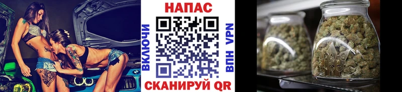 Шишки марихуана сатива Мценск